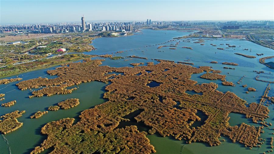 Central China's Wuhan to run for int'l wetland city
