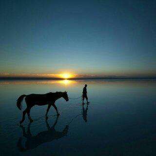 成语故事：四海为家 Make a home wherever you are