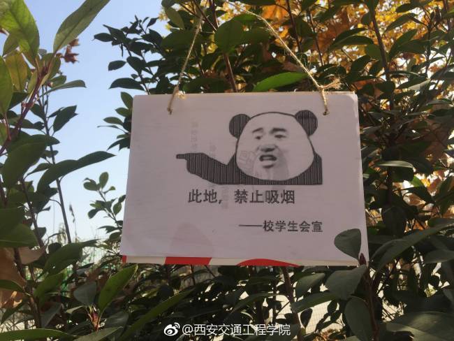 高校禁烟表情包火了 Anti-smoking campaign at NW college goes viral