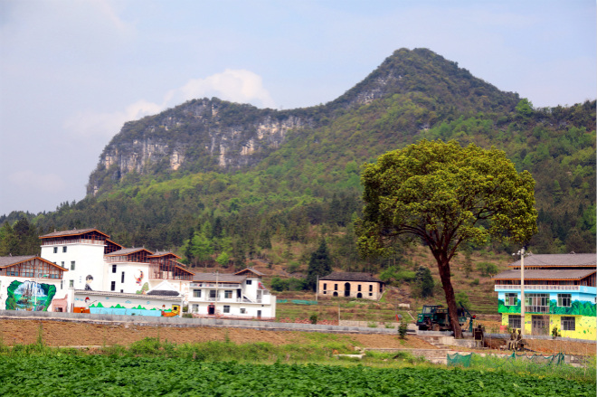 洪江村的风光-a
