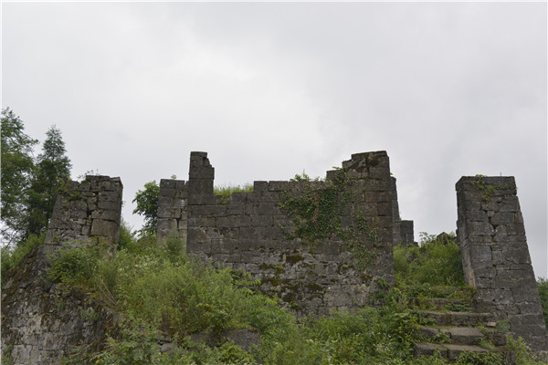 86.jpg