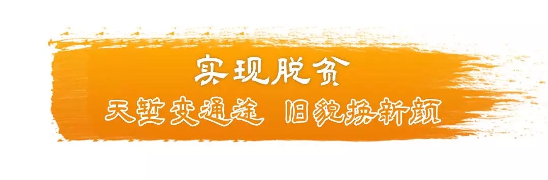 《2019·习近平的信札》之下党乡亲篇丨此情绵长暖茶乡