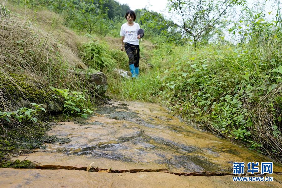 （图片故事）（2）重庆永川：雨中逆行者 守护百姓安全的地质灾害监测员