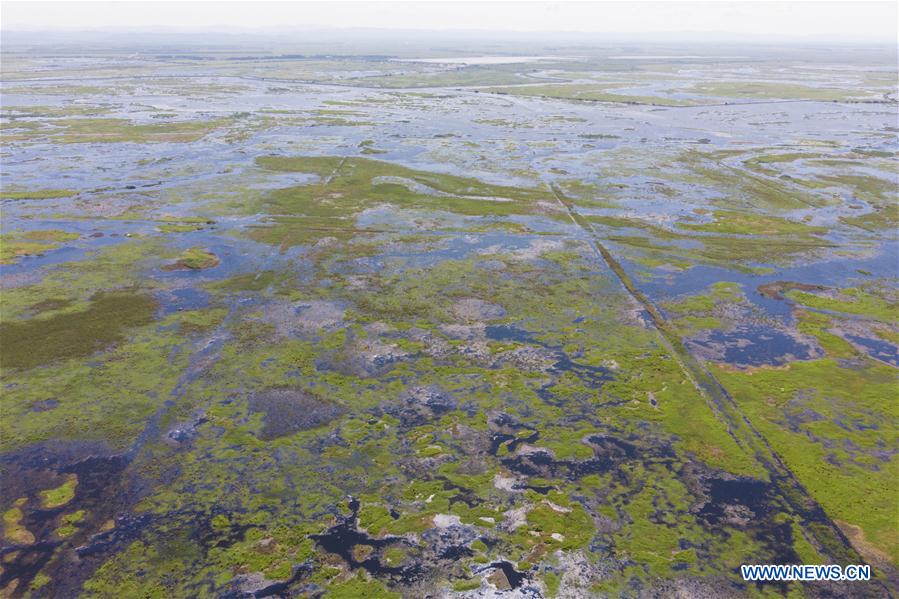 CHINA-HEILONGJIANG-FUJIN-ENVIRONMENT-WETLAND (CN)
