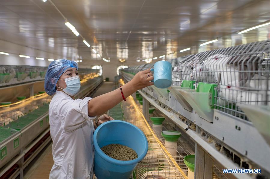 CHINA-XINJIANG-HOTAN-ANIMAL HUSBANDRY (CN)