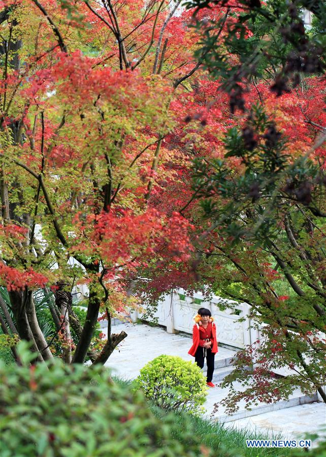 #CHINA-AUTUMN VIEWS (CN)