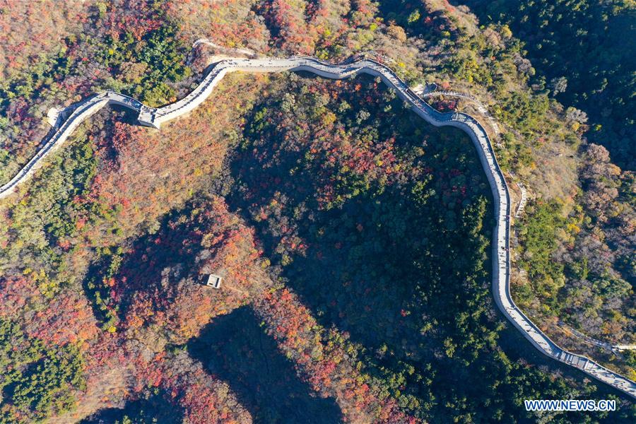 CHINA-BEIJING-BADALING GREAT WALL-AUTUMN VIEW (CN)