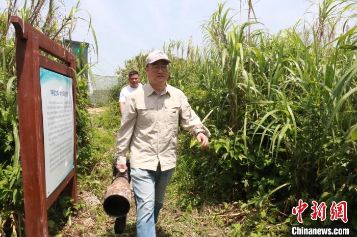丁鹏携带拍摄设备在鸟岛上准备观测中华凤头燕鸥。 张煜欢 摄