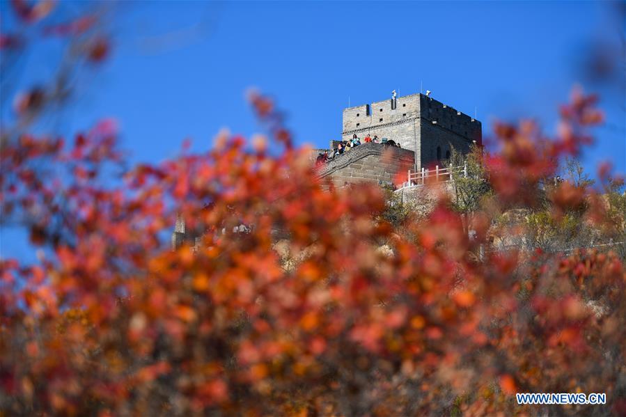 CHINA-BEIJING-BADALING GREAT WALL-AUTUMN VIEW (CN)
